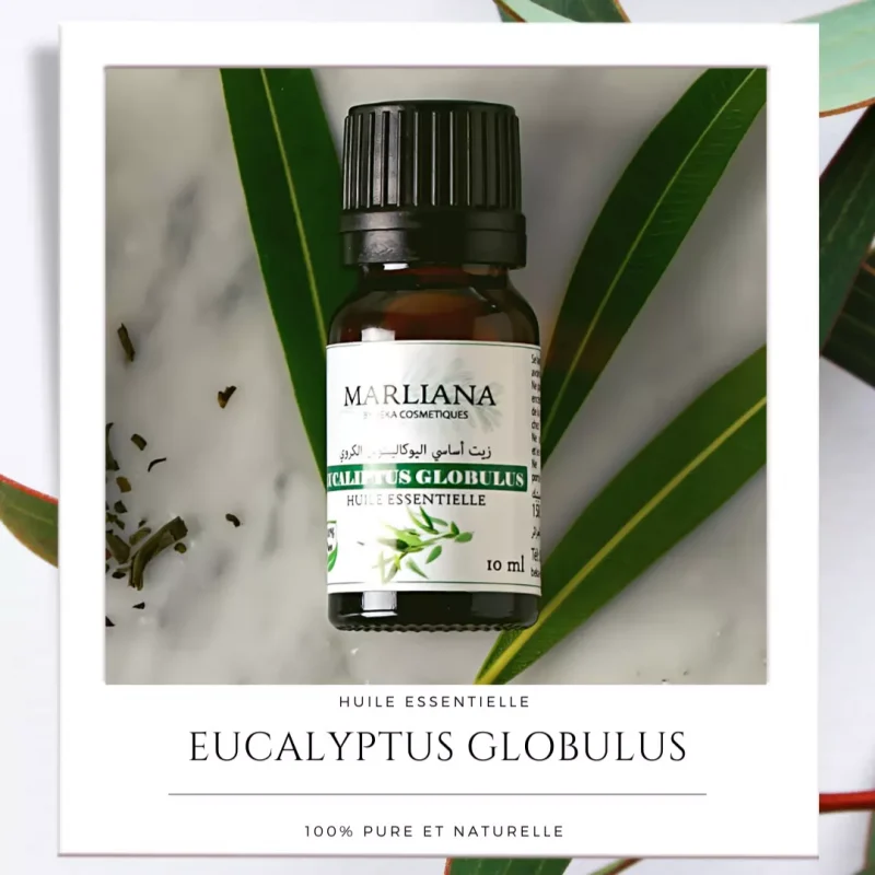 Huile essentielle d'Eucalyptus Globulus 10ml Marliana®