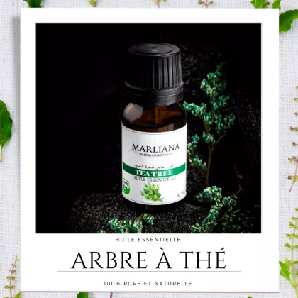 Huile Essentielle d'Arbre à thé (Tea tree) – Marliana ALGERIE