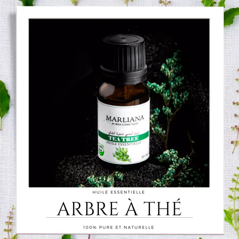 Huile Essentielle d'Arbre à thé (Tea tree) – Marliana ALGERIE