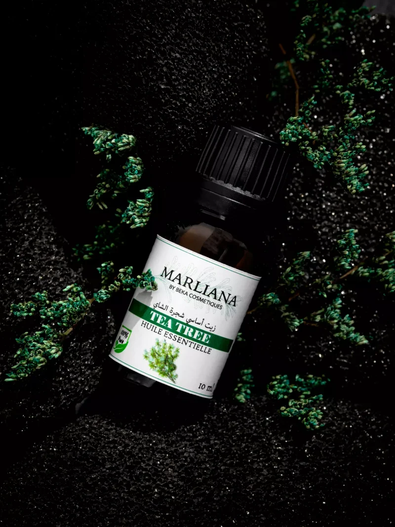 Huile Essentielle d'Arbre à thé (Tea tree) – Marliana ALGERIE